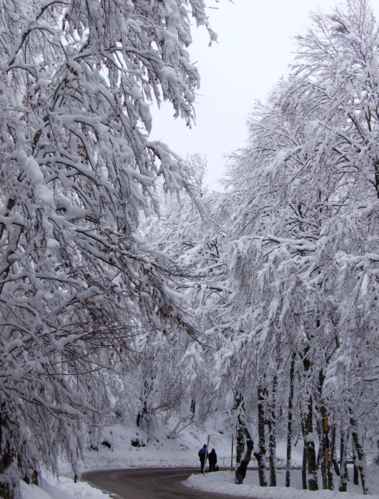 merletti di neve